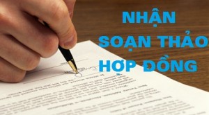 Tư vấn Soạn thảo Hợp đồng